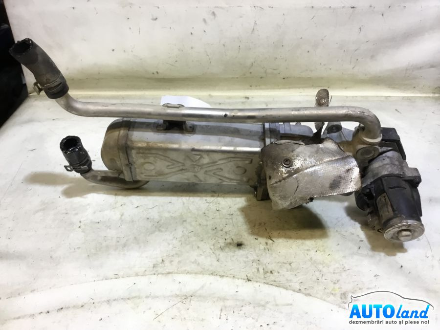 Racitor EGR 03l131512dp 1.6 TDI cu EGR Volkswagen PASSAT 362 2010