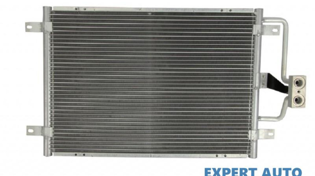 Radiator aer conditionat Renault MEGANE I Cabriolet (EA0/1_) 1996-2003 #3 08093011