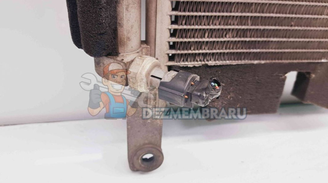 Radiator clima / AC Renault Koleos 1 SUV [Fabr 2008-2015] 92100JY00A 2.0 DCI