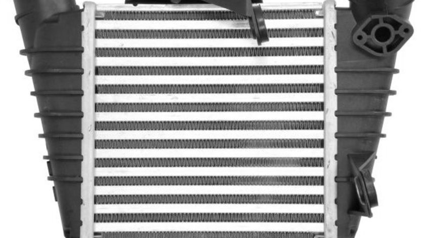 Radiator Intercooler Am Vag Volkswagen Polo 9N 2001-2014 6Q0145804A