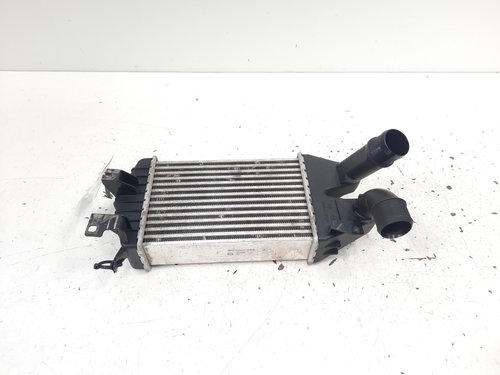 Radiator intercooler, cod GM13213402, Opel Zafira B (A05), 1.9 CDTI, Z19DT (idi:615842)