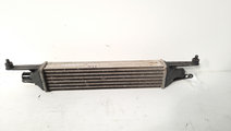 Radiator intercooler, Fiat Grande Punto Van (199) ...