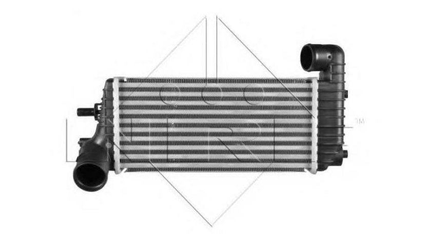 Radiator intercooler Ford C-MAX II (DXA/CB7, DXA/CEU) 2010-2016 #2 097013N