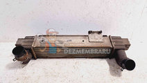 Radiator intercooler Kia Sorento 1 [Fabr 2002-2009...