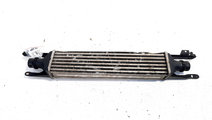 Radiator intercooler, Opel Corsa D, 1.3 CDTI, Z13D...