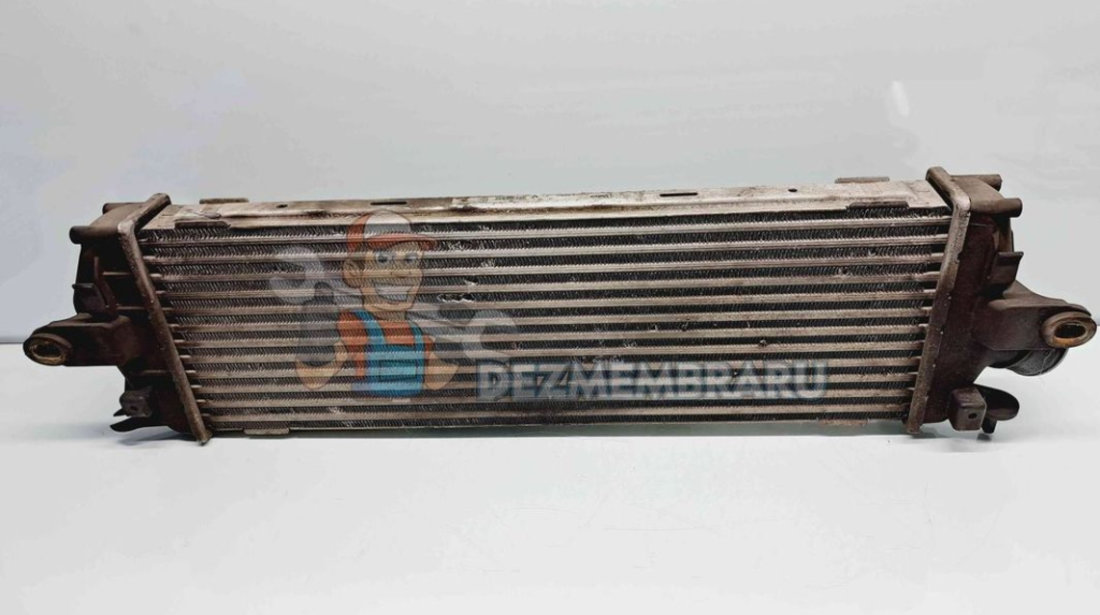 Radiator intercooler Renault Trafic 2 [Fabr 2001-2012] 8200411160 2.0