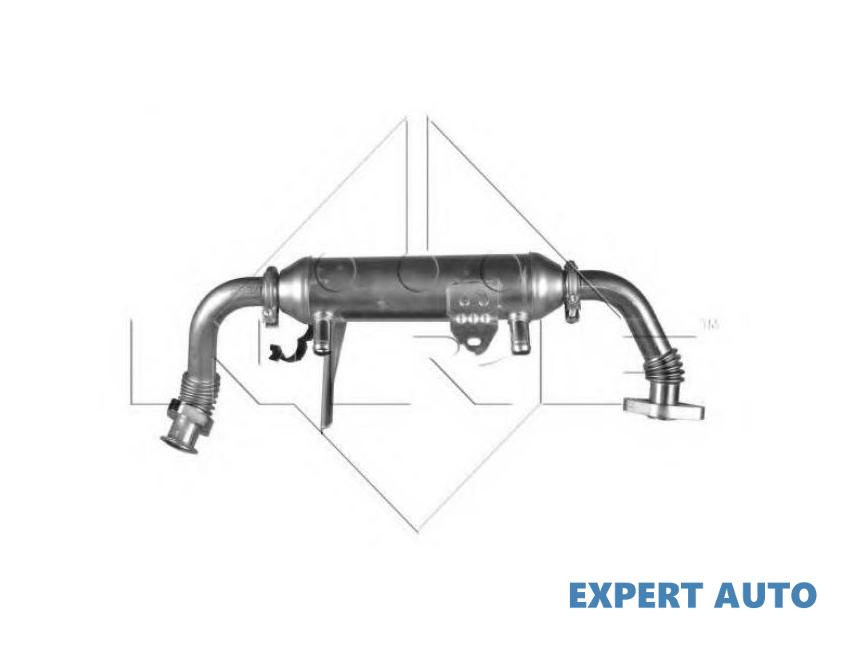 Radiator recirculare gaze Lancia LYBRA SW (839BX) 1999-2005 #3 46810017