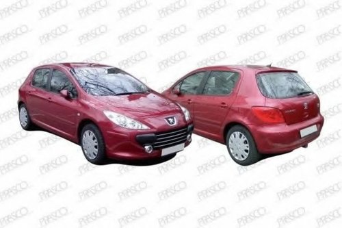 Rama, proiector ceata PEUGEOT 307 (3A/C) (2000 - 2016) PRASCO PG4221240 piesa NOUA