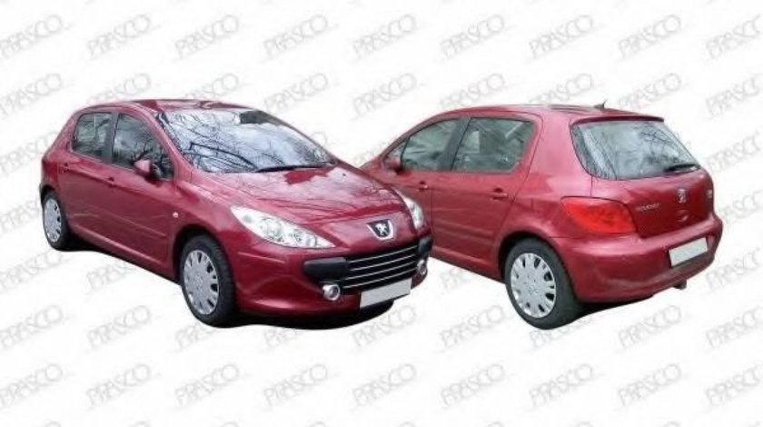 Rama, proiector ceata PEUGEOT 307 (3A/C) (2000 - 2016) PRASCO PG4221240 piesa NOUA