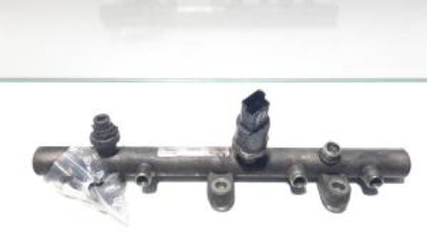 Rampa injectoare 9640387980, Citroen Xsara Van, 2.0 hdi