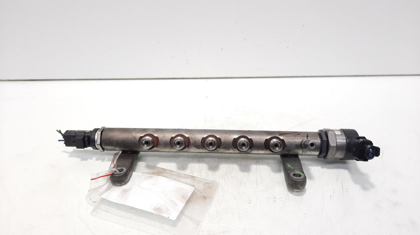 Rampa injectoare cu senzori, 9656917280, Land Rover Freelander 2 (FA) 2.2 DT, 224DT (id:597944)