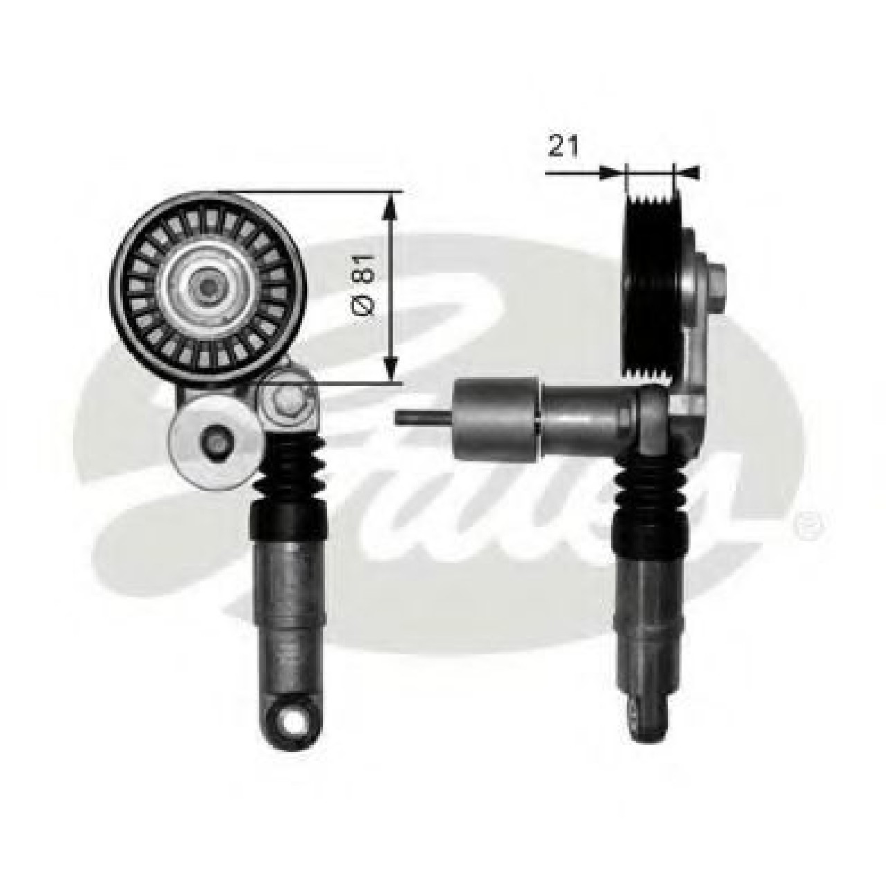 Rola intinzator,curea transmisie AUDI A4 (8E2, B6) (2000 - 2004) GATES T38306 piesa NOUA