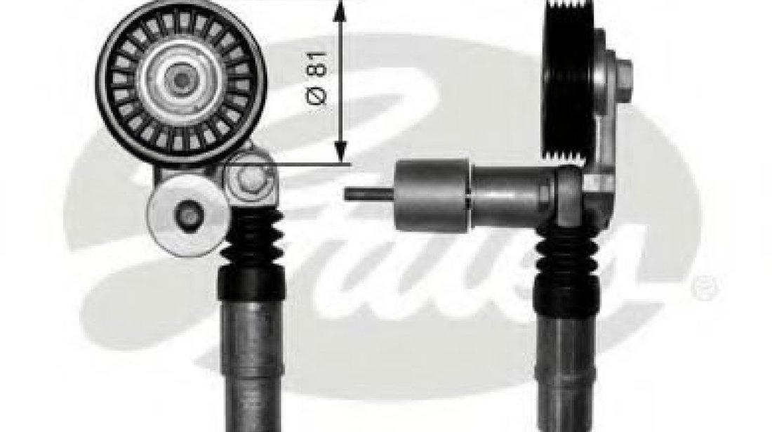 Rola intinzator,curea transmisie AUDI A6 Avant (4B5, C5) (1997 - 2005) GATES T38306 piesa NOUA