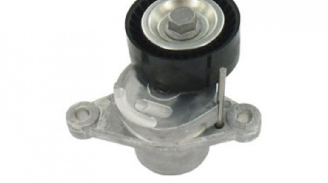 Rola intinzator,curea transmisie Peugeot 2008 2013-2016 #2 1611426580