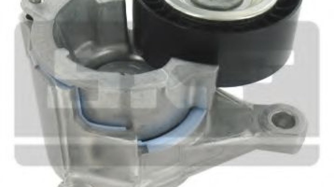 Rola intinzator,curea transmisie PEUGEOT 406 Estate (8E/F) (1996 - 2004) SKF VKM 33019 piesa NOUA