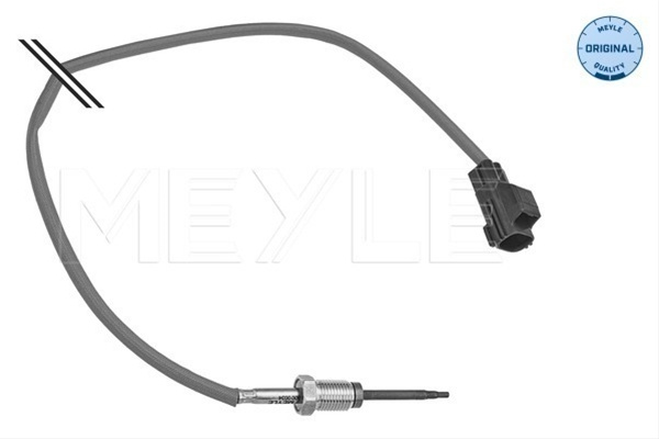 Senzor Temperatura Gaze Evacuare Meyle Ford 714 800 0034