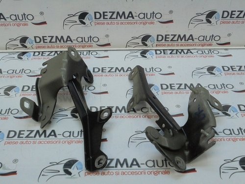 Set balamale capota fata, 654000001R, Renault Laguna 3 (id:248298)