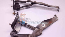 Set balamale capota Renault Scenic 2 [Fabr 2003-20...