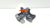 Set balamale usa dreapta spate, Renault Megane 3 (...