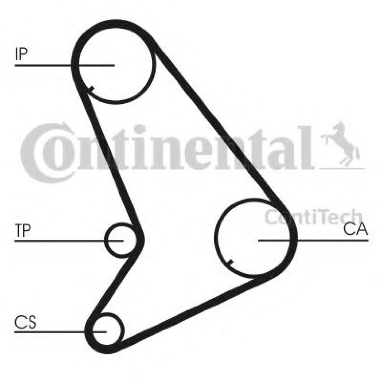 Set curea de distributie FORD TRANSIT caroserie (E) (1994 - 2000) CONTITECH CT1055K1 piesa NOUA