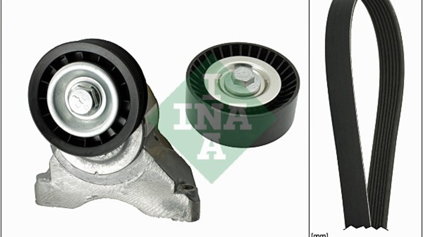 Set curea transmisie cu caneluri (529000710 INA) FORD