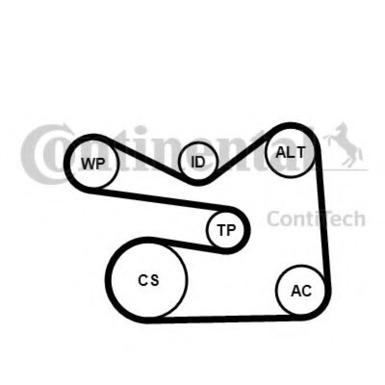 Set curea transmisie cu caneluri AUDI A1 Sportback (8XA, 8XF, 8XK) (2011 - 2016) CONTITECH 6PK1733K3 piesa NOUA