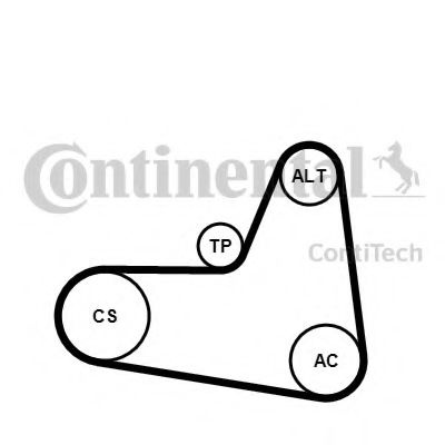 Set curea transmisie cu caneluri AUDI A3 (8P1) (2003 - 2012) CONTITECH 6PK1045K2 piesa NOUA