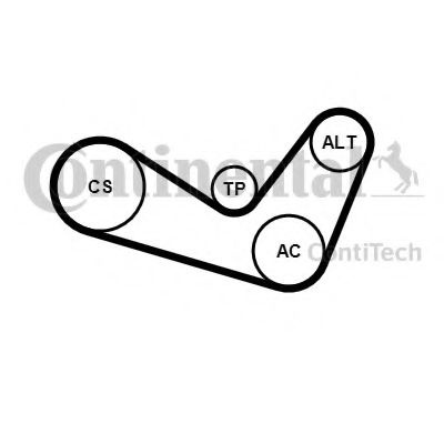 Set curea transmisie cu caneluri AUDI A3 (8P1) (2003 - 2012) CONTITECH 6PK1050K1 piesa NOUA