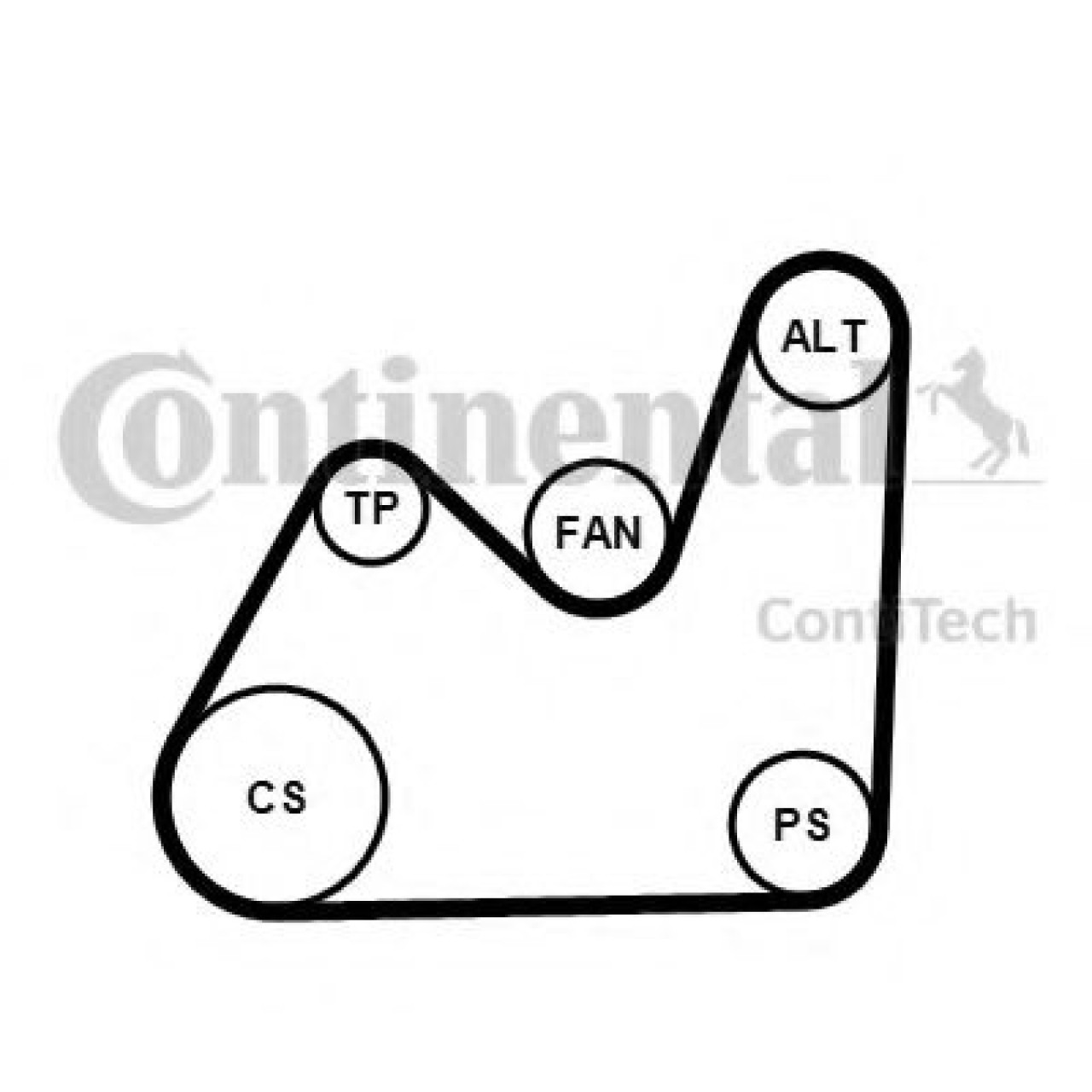 Set curea transmisie cu caneluri AUDI A6 (4B2, C5) (1997 - 2005) CONTITECH 5PK1432K1 piesa NOUA