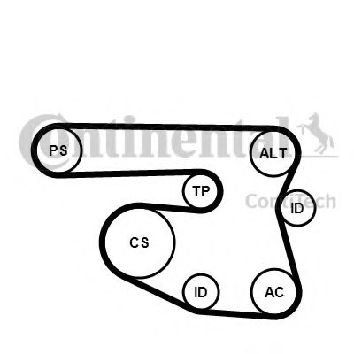 Set curea transmisie cu caneluri BMW Seria 3 Compact (E46) (2001 - 2005)  CONTITECH 6PK1870K1 piesa NOUA #62193036