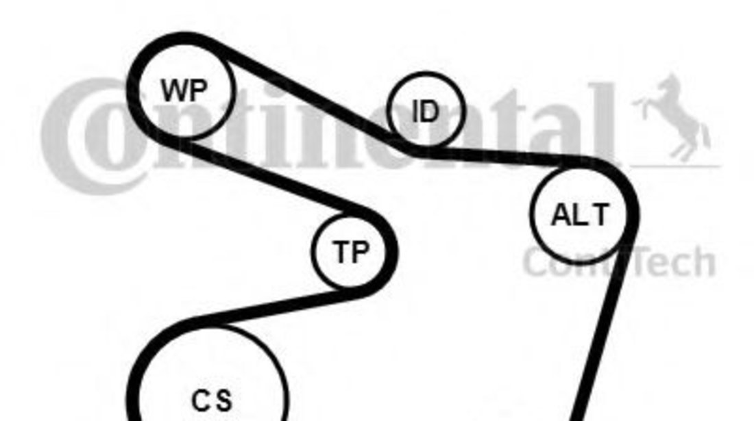 Set curea transmisie cu caneluri BMW Seria 5 Touring (E39) (1997 - 2004) CONTITECH 6PK1538K2 piesa NOUA