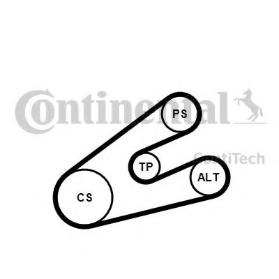 Set curea transmisie cu caneluri CITROEN BERLINGO (MF) (1996 - 2016) CONTITECH 6PK1453K1 piesa NOUA