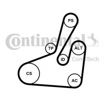 Set curea transmisie cu caneluri CITROEN C5 II (RC) (2004 - 2016) CONTITECH 6PK1710K2 piesa NOUA