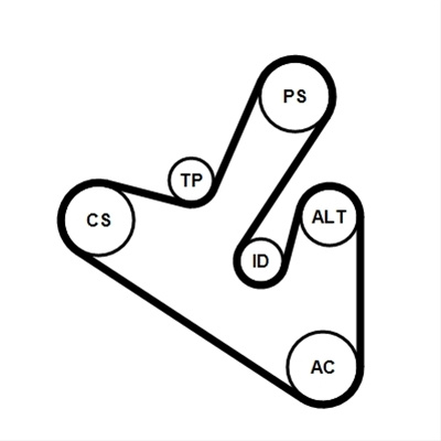 Set Curea Transmisie Cu Caneluri Contitech Citroën 6PK1710K1