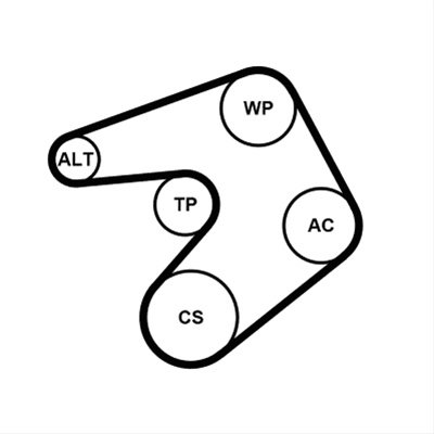 Set Curea Transmisie Cu Caneluri Contitech Citroën 6PK1244K1