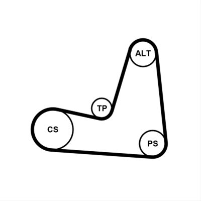 Set Curea Transmisie Cu Caneluri Contitech Renault 5PK1135K1