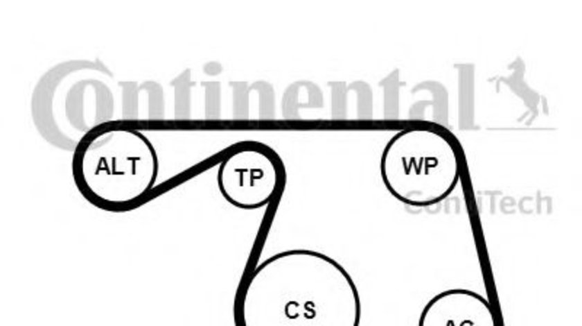 Set curea transmisie cu caneluri FIAT 500 (312) (2007 - 2016) CONTITECH 6PK1310K1 piesa NOUA