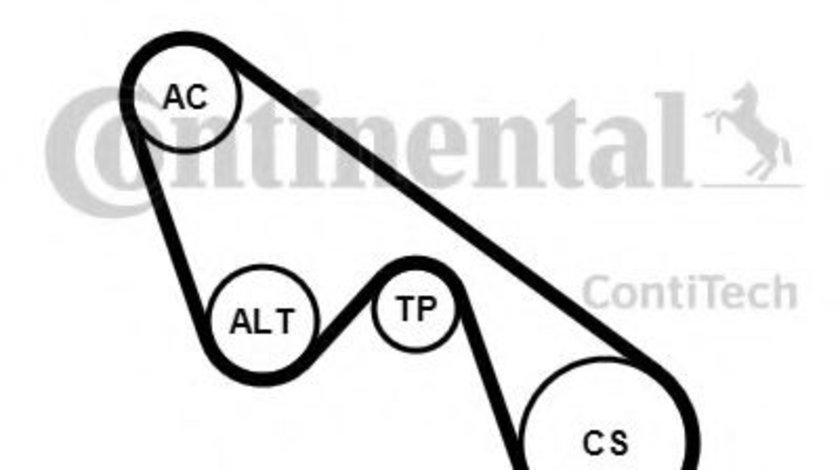 Set curea transmisie cu caneluri FIAT 500 C (312) (2009 - 2016) CONTITECH 5PK1150K1 piesa NOUA