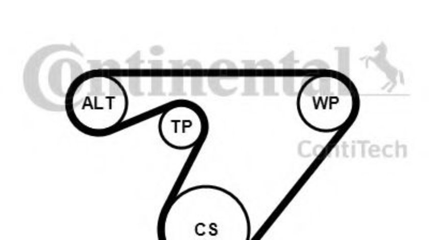 Set curea transmisie cu caneluri FIAT GRANDE PUNTO (199) (2005 - 2016) CONTITECH 6PK1180K3 piesa NOUA