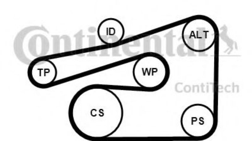 Set curea transmisie cu caneluri FORD FOCUS Limuzina (DFW) (1999 - 2007) CONTITECH 6PK1733K4 piesa NOUA