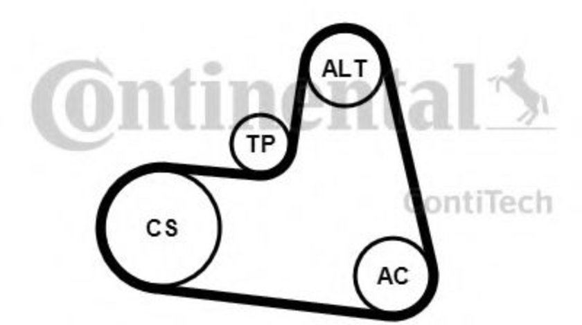 Set curea transmisie cu caneluri LANCIA PHEDRA (179) (2002 - 2010) CONTITECH 6PK1217K1 piesa NOUA