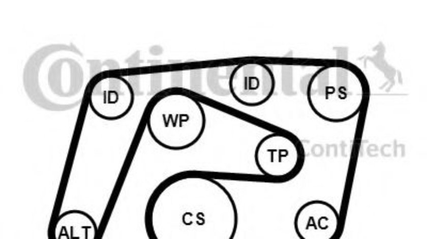 Set curea transmisie cu caneluri MERCEDES E-CLASS (W211) (2002 - 2009) CONTITECH 6PK2260K1 piesa NOUA