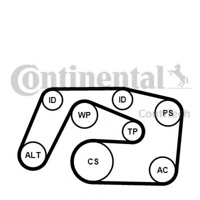 Set curea transmisie cu caneluri MERCEDES M-CLASS (W163) (1998 - 2005) CONTITECH 6PK2271K1 piesa NOUA