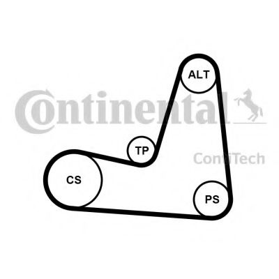 Set curea transmisie cu caneluri NISSAN ALMERA II Hatchback (N16) (2000 - 2016) CONTITECH 5PK1135K1 piesa NOUA