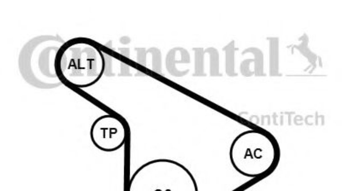 Set curea transmisie cu caneluri OPEL MERIVA (2003 - 2010) CONTITECH 5PK1212K1 piesa NOUA