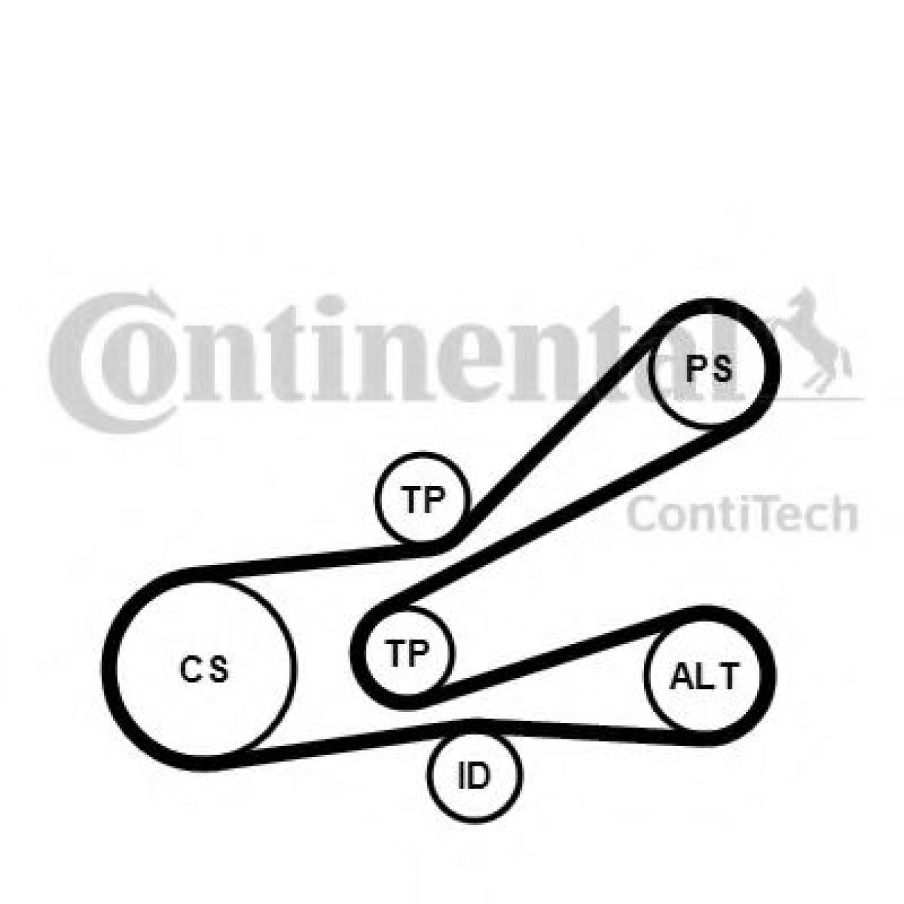 Set curea transmisie cu caneluri PEUGEOT 306 (7B, N3, N5) (1993 - 2003) CONTITECH 6PK1045K3 piesa NOUA