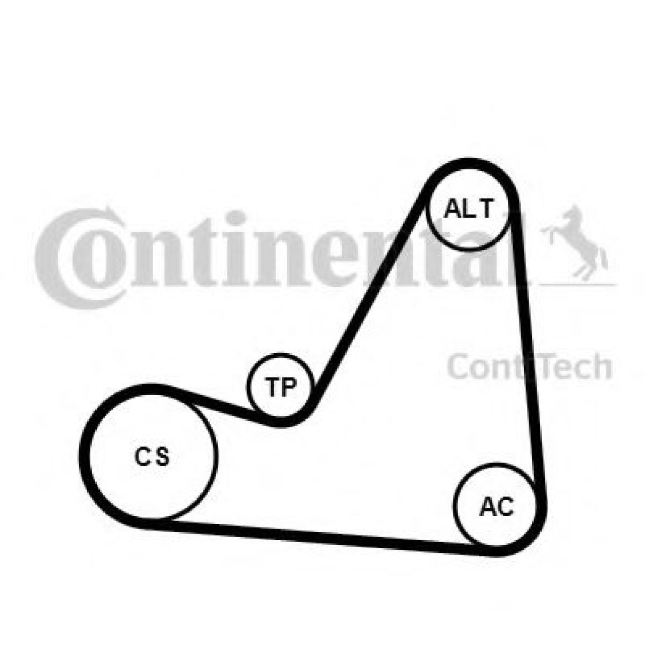 Set curea transmisie cu caneluri PEUGEOT 307 CC (3B) (2003 - 2016) CONTITECH 6PK1070K3 piesa NOUA