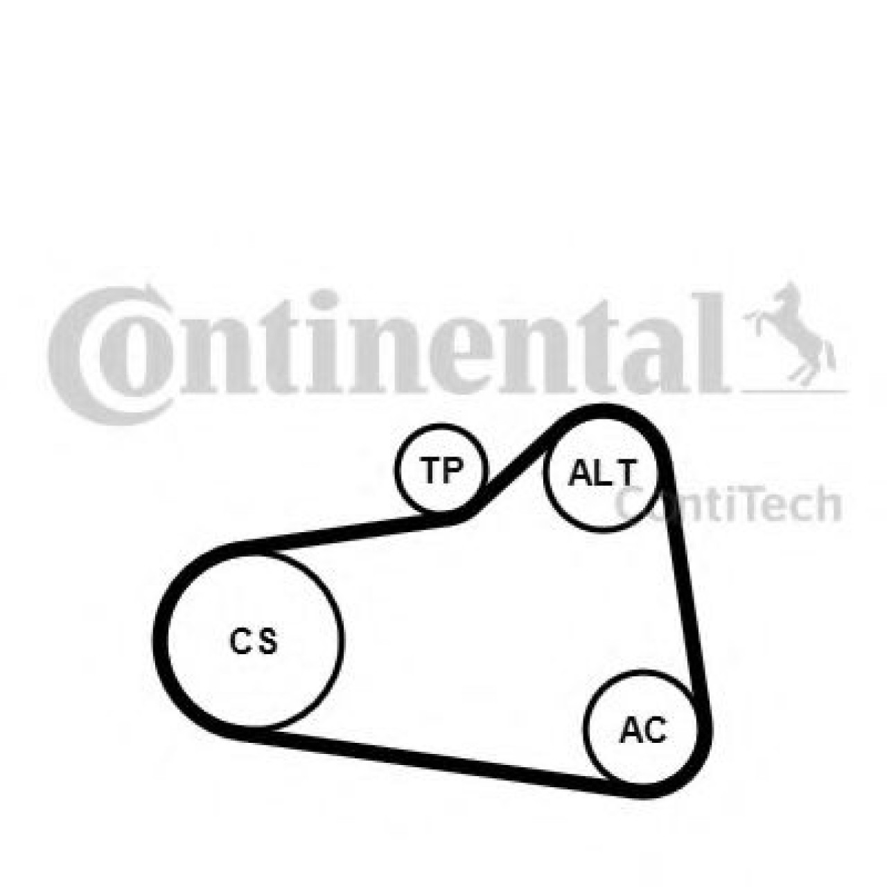 Set curea transmisie cu caneluri PEUGEOT 508 SW (2010 - 2016) CONTITECH 6PK905 EXTRA K1 piesa NOUA