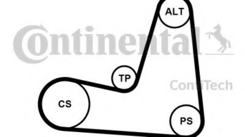 Set curea transmisie cu caneluri RENAULT CLIO II (BB0/1/2, CB0/1/2) (1998 - 2005) CONTITECH 5PK1135K1 piesa NOUA