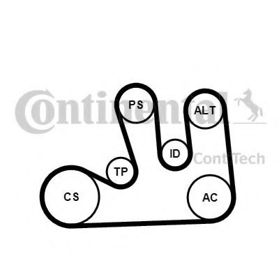 Set curea transmisie cu caneluri RENAULT KANGOO Express (FC0/1) (1997 - 2007) CONTITECH 5PK1750K1 piesa NOUA